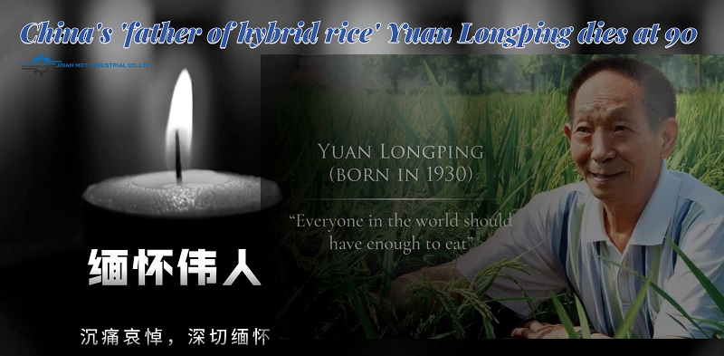 China's 'father of hybrid rice' Yuan Longping dies at 90