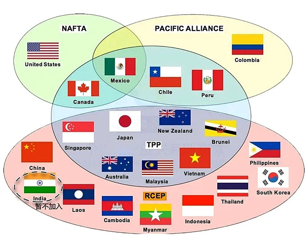 RCEP takes effect on January 1, 2022(图1)