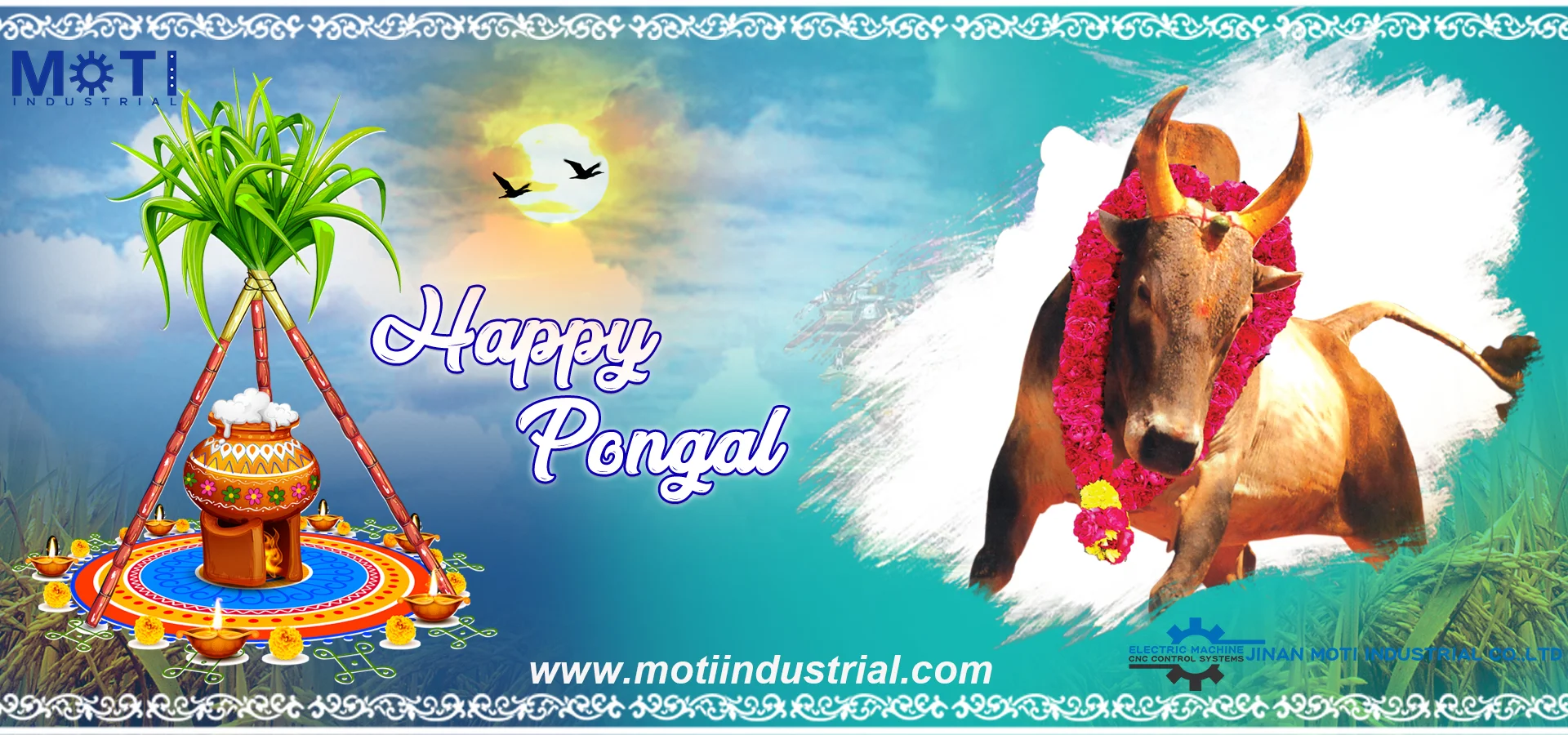 Happy Pongal Festival to Indian Friends(图1)